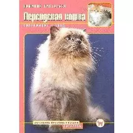 Персидская кошка. Содержание и уход