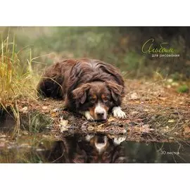 Пес у озера АЛЬБОМЫ ДЛЯ РИСОВАНИЯ (гребень). 30 листов