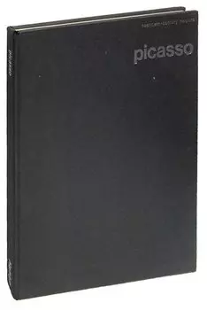 Picasso (Twentieth century masters)