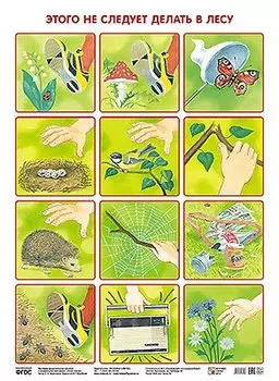 ПЛ Этого не следует делать в лесу