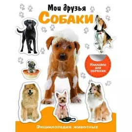 Кто в лесу живет? Развивающий плакат-игра с многоразовыми наклейками