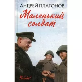 Маленький солдат: рассказы, очерки