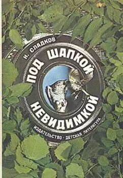 Под шапкой невидимкой