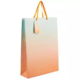 Подарочный пакет «Градиент», А3