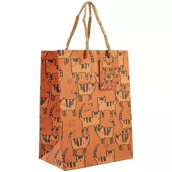 Подарочный пакет, «Hey tiger», A5