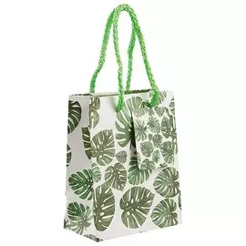 Подарочный пакет «Монстера», А6