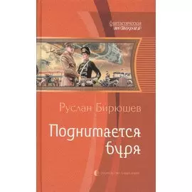 Поднимается буря (ФантИст) Бирюшев