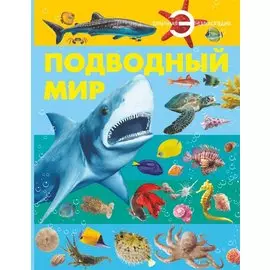 Подводный мир
