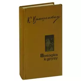 Поездка к другу