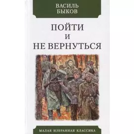 Пойти и не вернуться. Повесть