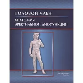 Половой член.Анатомия эректильной дисфункции