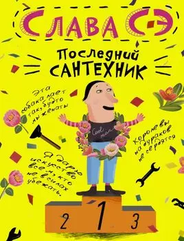 Последний сантехник