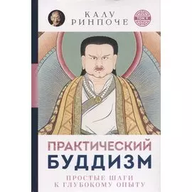 Практический буддизм. Простые шаги к глубокому опыту