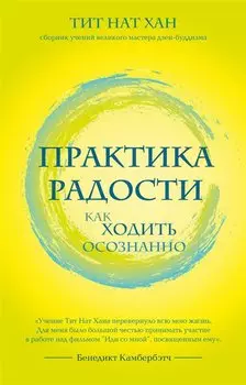 Практика радости. Как ходить осознанно