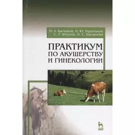 Практикум по акушерству и гинекологии. Учебн. пос., 1-е изд.