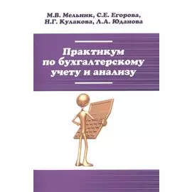 Практикум по бухгалтерскому учету и анализу
