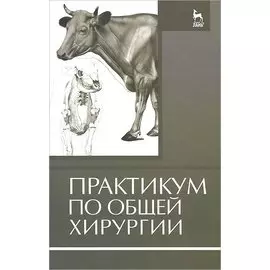 Практикум по общей хирургии. Учебное пособие