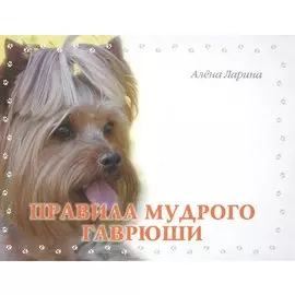 Правила мудрого Гаврюши