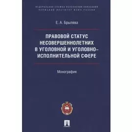 Правовой статус несовершеннолетних в уголовной и уголовно-исполнительной сфере