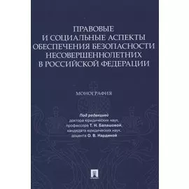 Правовые и социальные аспекты обеспечения безопасности несовершеннолетних в Российской Федерации. Монография