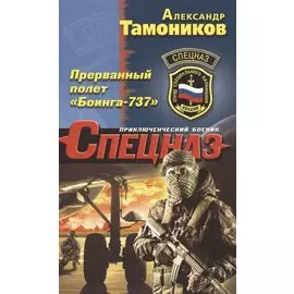 Прерванный полет «Боинга-737»