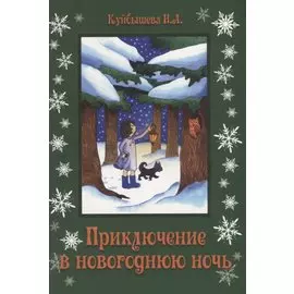 Приключение в новогоднюю ночь