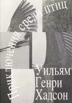 Приключения среди птиц