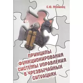 Принципы функционирования системы управления в чрезвычайных ситуациях