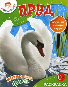 Пруд.Раскраска+большие наклейки внутри