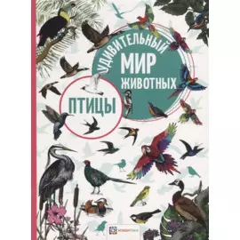 Птицы