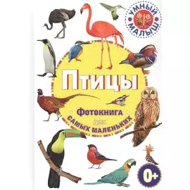 Птицы. Фотокнига для самых маленьких
