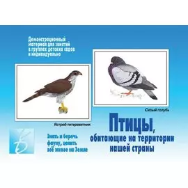 Птицы, обитающие на территории нашей страны. Демонстрационный материал для занятий в группах детских садов и индивидуально