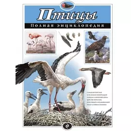 Птицы. Полная энциклопедия