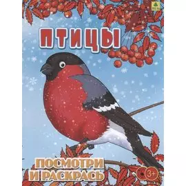 Птицы. Посмотри и раскрась