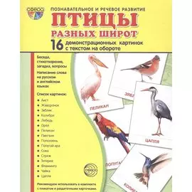 Дем. картинки СУПЕР Птицы разных широт. 16 демонстр. картинок с текстом (173х220 мм)