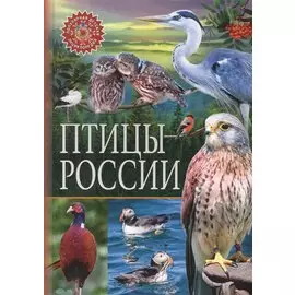 Птицы России. Популярная детская энциклопедия