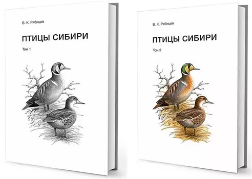 Птицы Сибири (комплект из 2 книг)