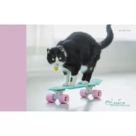 Альбом для рисования Unnika, "Пушистый скейтер", А4, 40 листов, на склейке