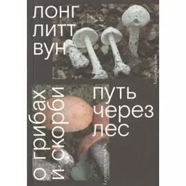 Путь через лес. О грибах и скорби