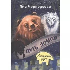 Путь домой. Лабиринты дорог