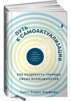 Путь к самоактуализации: Как раздвинуть границы своих возможностей. Новое понимание иерархии потребностей Маслоу
