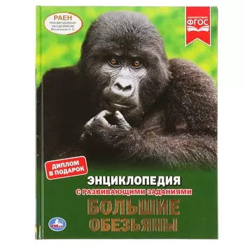 "УМКА". БОЛЬШИЕ ОБЕЗЬЯНЫ (ЭНЦИКЛОПЕДИЯ С РАЗВИВАЮЩИМИ ЗАДАНИЯМИ, А4). ТВЕРДЫЙ ПЕРЕПЛЕТ. в кор.15шт