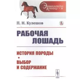 Рабочая лошадь: История породы. Выбор и содержание