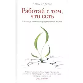 Работай с тем, что есть. Руководство по сострадательной жизни