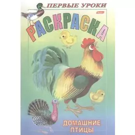 Раскраска. Домашние птицы