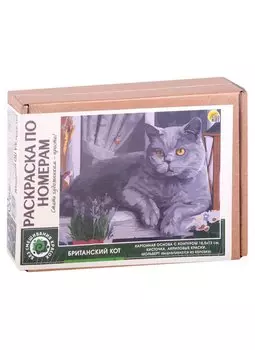 Раскраска по номерам. Британский кот