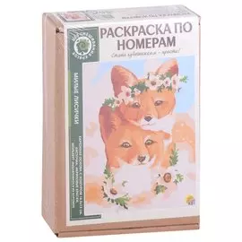 Раскраска по номерам. Милые лисички