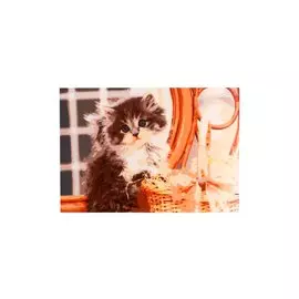 Раскраска по номерам на картоне А3 "Котенок у корзины", 30 х 40 см