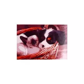 Раскраска по номерам на картоне А3 "Котик и щенок в корзине", 30 х 40 см