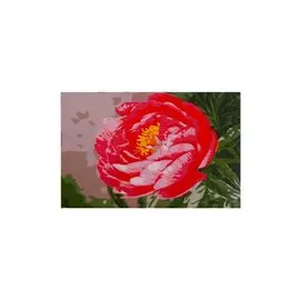 Набор ТМ Рыжий кот Раскраска на картоне А3 (в коробке) Распустившийся цветок (Арт. Р-2569)